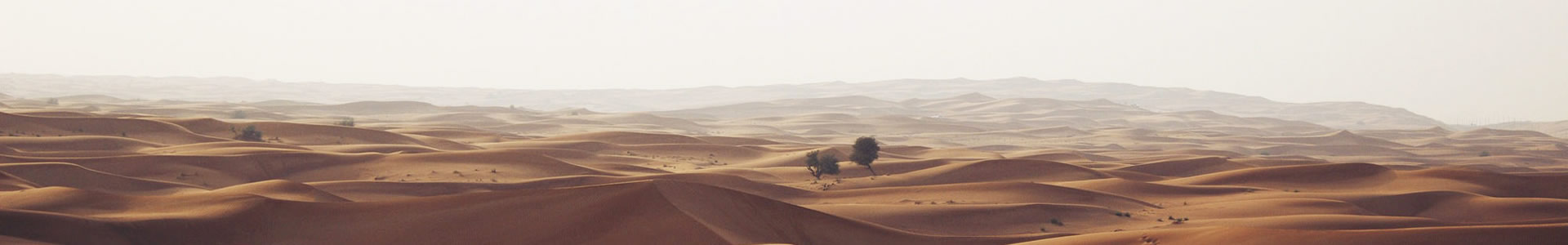 ԭó޹˾